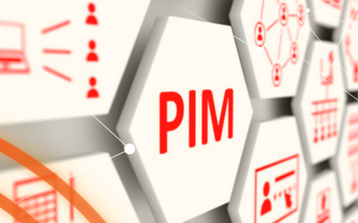 Cos’è un “PIM”? Una piccola guida