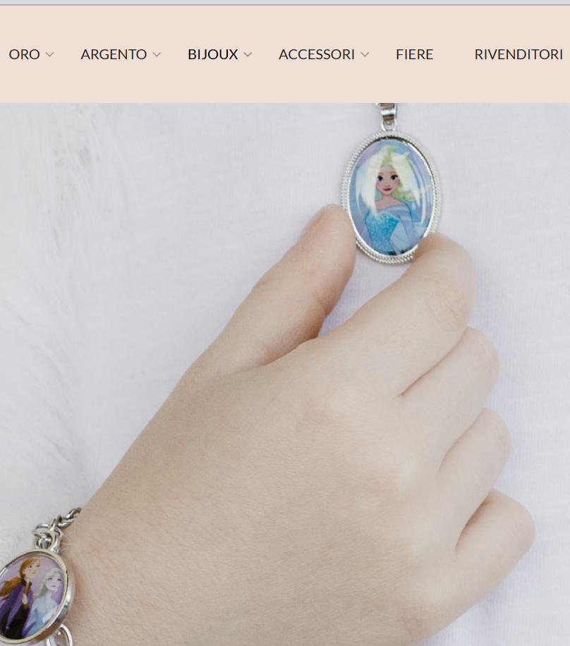 C&S ITaly - Disney ERP Oracle Netsuite