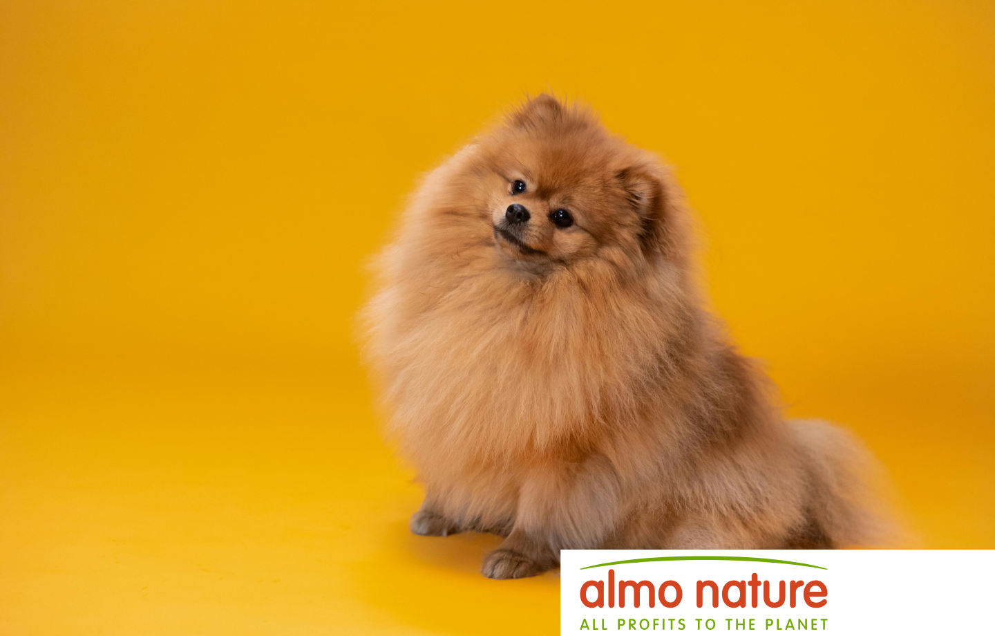Almo Nature case study - eCommerce Shopify