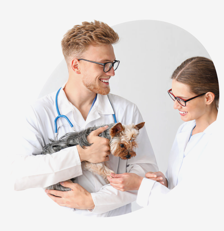 Pharmaidea-SIntra-Digital-Consulting-2