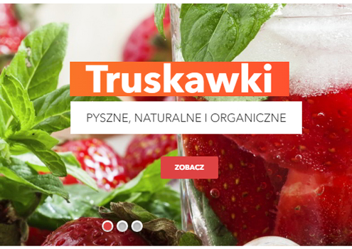 Un vero caso di successo: Szkółki Markiewicz da PrestaShop a Magento!