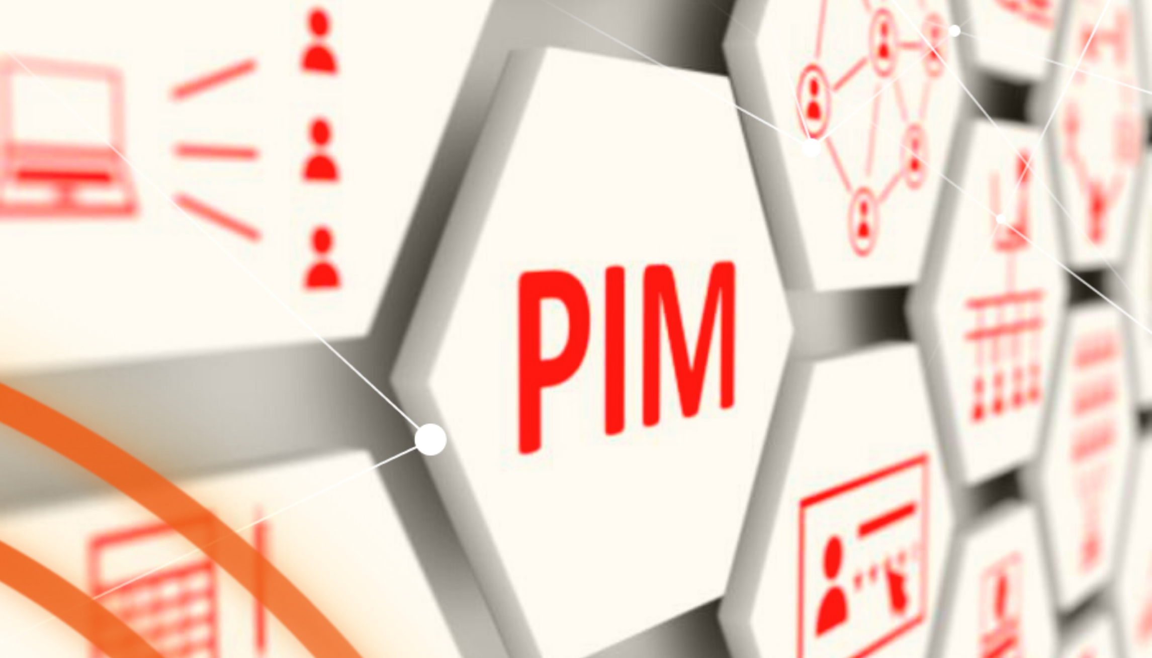 COS’È “PIM”?