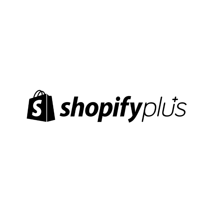 Sviluppo ecommerce Shopify - Sintra Digital Business è Premier partner Shopify